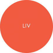 Liv catering tableware roundel