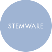 stemware-bar-glassware 1