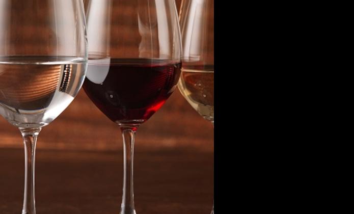 Wine Lover - Catering Wine Glasses