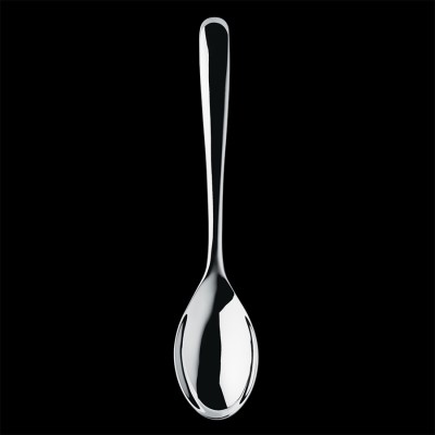 V Serving Spoon Small